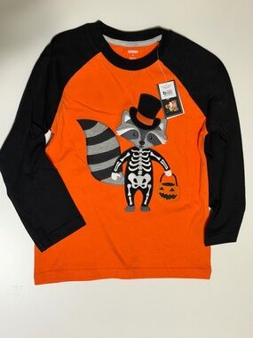 Halloween Raccoon Embroidered Boys’ Long Sleeve Tee